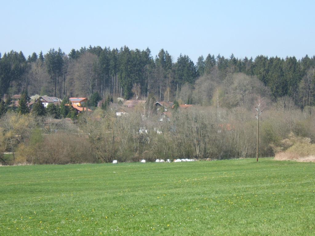 Ferienwohnung Schwahn Kleinschonach المظهر الخارجي الصورة